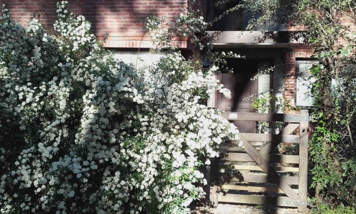 3 chambres Maison à Mar del Plata, Argentina No. 76445