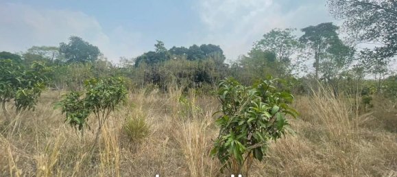 9600m² Commercial property in Pattaya, Thailand No. 15400 5