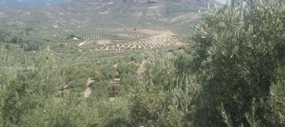 Terrain à Andalusia, Spain No. 154773 5