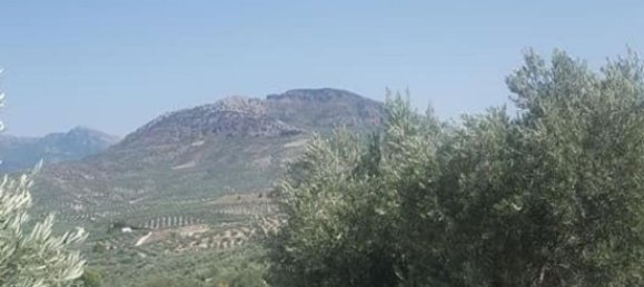 Terrain à Andalusia, Spain No. 154773 4