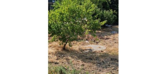 1998m² Land in Lajeosa do Mondego, Portugal No. 211284 7