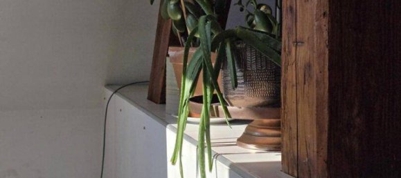 3غرفة شقة في Graz, Austria رقم 1929 23