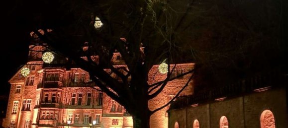 Grundstück in Lippe, Germany, Nr. 264324 3