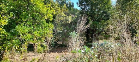 Casa T6 em Anadia, Portugal N.º 48428 12