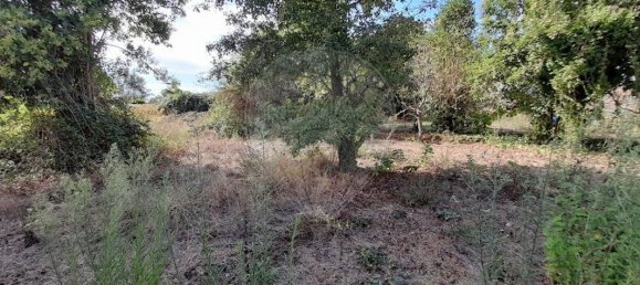 Casa T6 em Anadia, Portugal N.º 48428 13