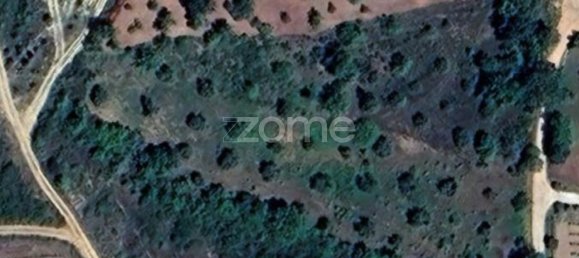 Земельный участок 5611м² в Орен, Португалия № 63134 3