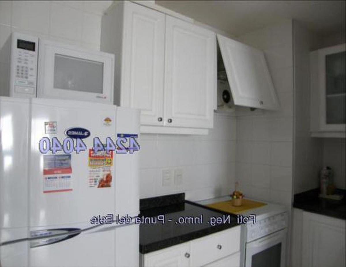 Studio in Punta del Este, Uruguay No. 6645