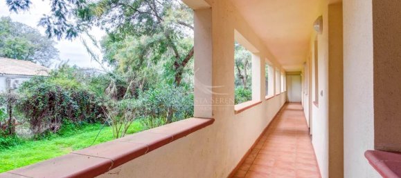 1 bedroom Apartment in Linguizzetta, France No. 77943 2