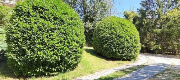 2-salle Appartement à Challand Saint Anselme, Italy No. 284122 26