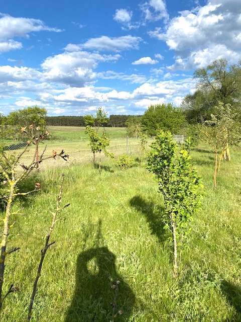 4 rooms House in Oder-Spree, Germany No. 80159