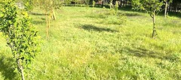 4 rooms House in Oder-Spree, Germany No. 80159 4