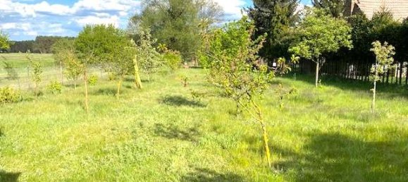 4 rooms House in Oder-Spree, Germany No. 80159 6