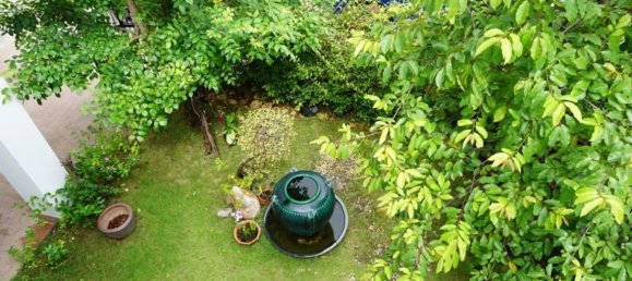 3 bedrooms Cafe / restaurant in Chiang Mai, Thailand No. 21951 6