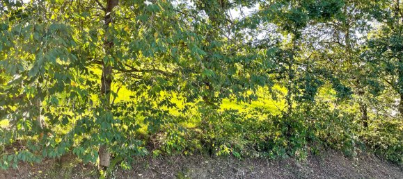 Land in Oberbergischer, Germany No. 153720 5