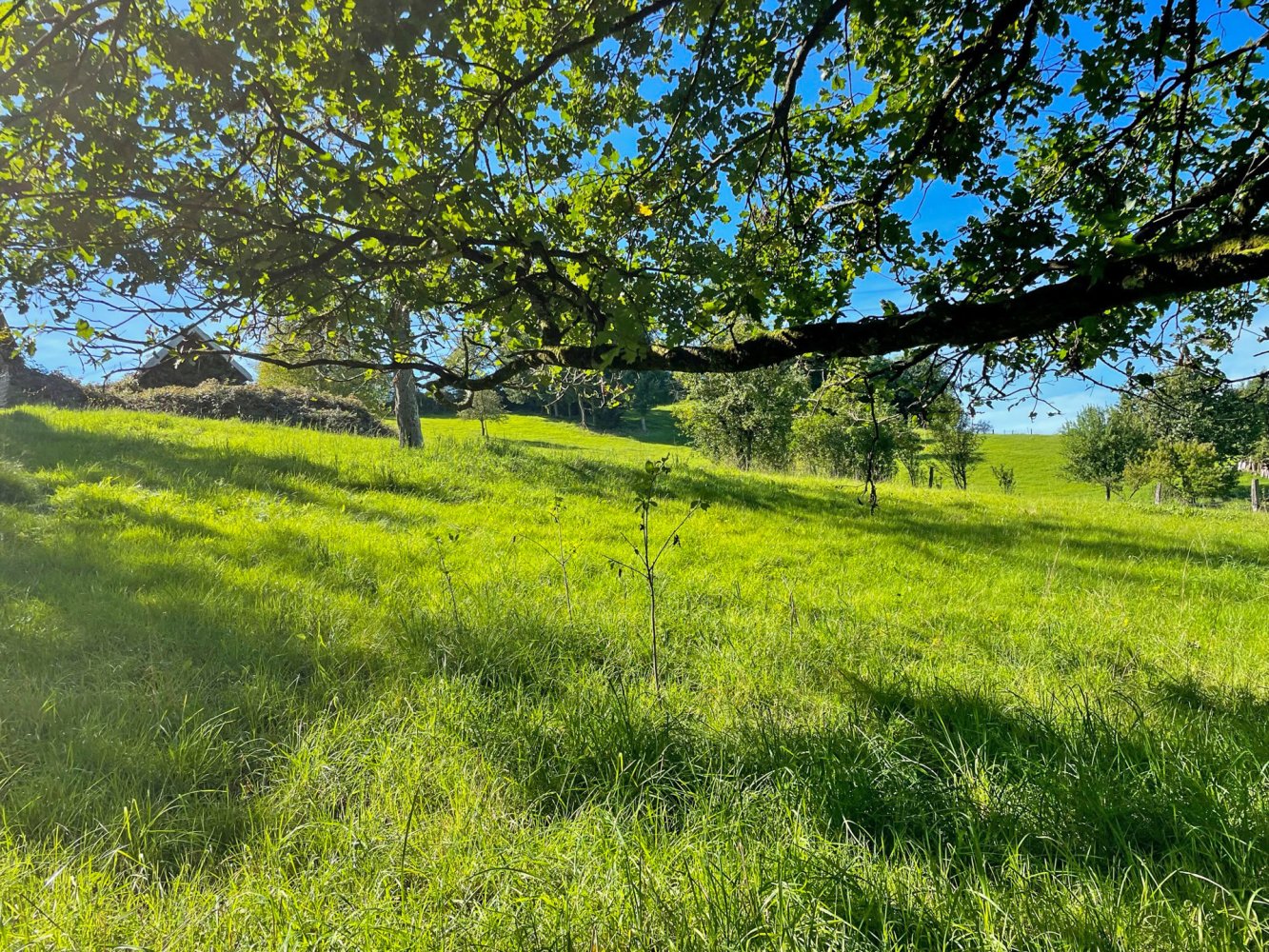  Land in Oberbergischer, Germany No. 153720