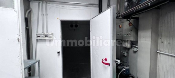 2 rooms Commercial property in Campodarsego, Italy No. 179181 8