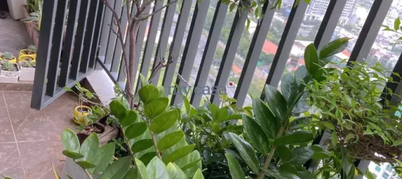 2 bedrooms Apartment in Thu Duc, Vietnam No. 8144 3