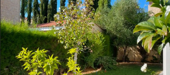 3 bedrooms Villa in Souni–Zanatzia, Cyprus No. 20390 13