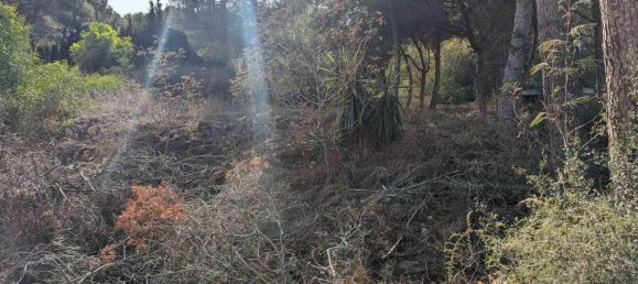 Land in Moraira, Spain No. 12630 5