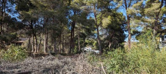 Land in Moraira, Spain No. 12630 11