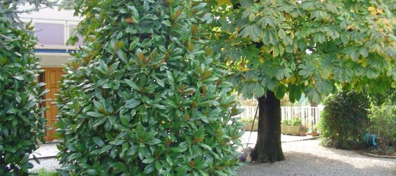 12 rooms Villa in Massarosa, Italy No. 251170 3