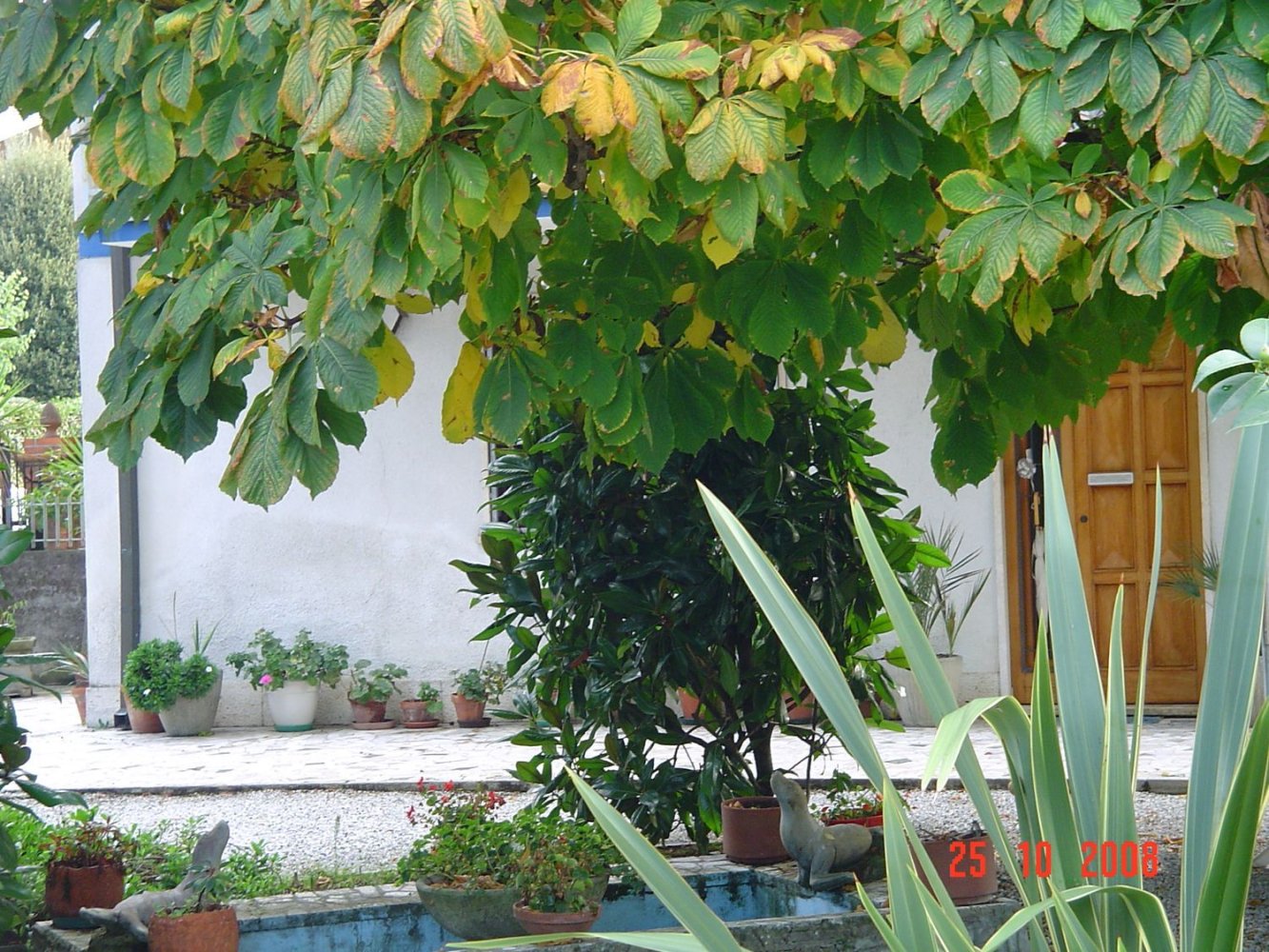 12 rooms Villa in Massarosa, Italy No. 251170