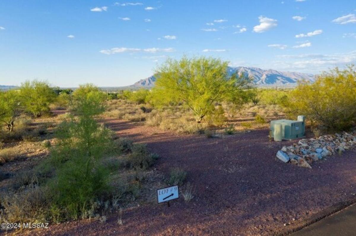  Land in Tucson, USA No. 511710