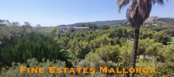 6 bedrooms House in Palma de Majorca, Spain No. 173965 15