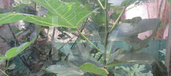 492m² Building in Vila Franca de Xira, Portugal No. 78569 11