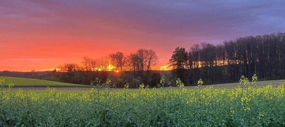Квартира с 2 спальнями в Ольсдорф, Австрия № 203300 20