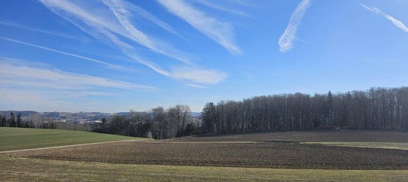 Квартира с 2 спальнями в Ольсдорф, Австрия № 203300 12