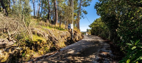 Terrain à Tomar, Portugal 1389m² No. 96191 4