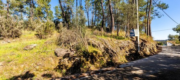 Terrain à Tomar, Portugal 1389m² No. 96191 3