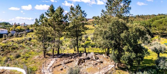 Terrain à Tomar, Portugal 1389m² No. 96191 7