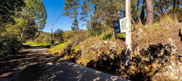 Terrain à Tomar, Portugal 1389m² No. 96191 5