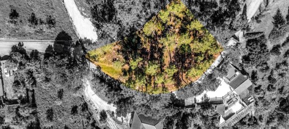 Terrain à Tomar, Portugal 1389m² No. 96191 19