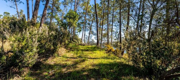 Terrain à Tomar, Portugal 1389m² No. 96191 32