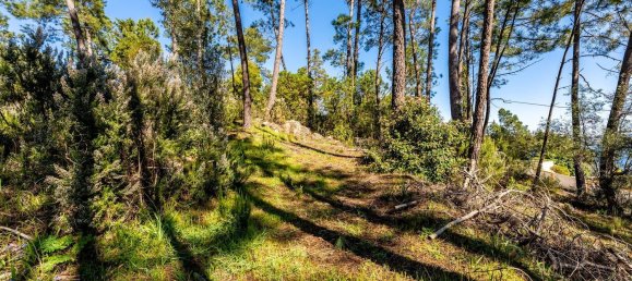 Terrain à Tomar, Portugal 1389m² No. 96191 34