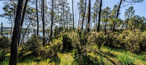 Terrain à Tomar, Portugal 1389m² No. 96191 11