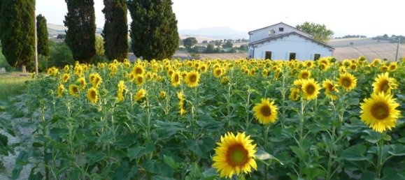 6غرفة منزل في Filottrano, Italy رقم 251094 10