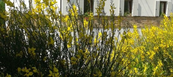 6غرفة منزل في Filottrano, Italy رقم 251094 2