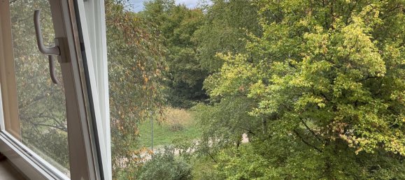 1 غرف نوم شقة في Bamberg, Germany رقم 311303 3