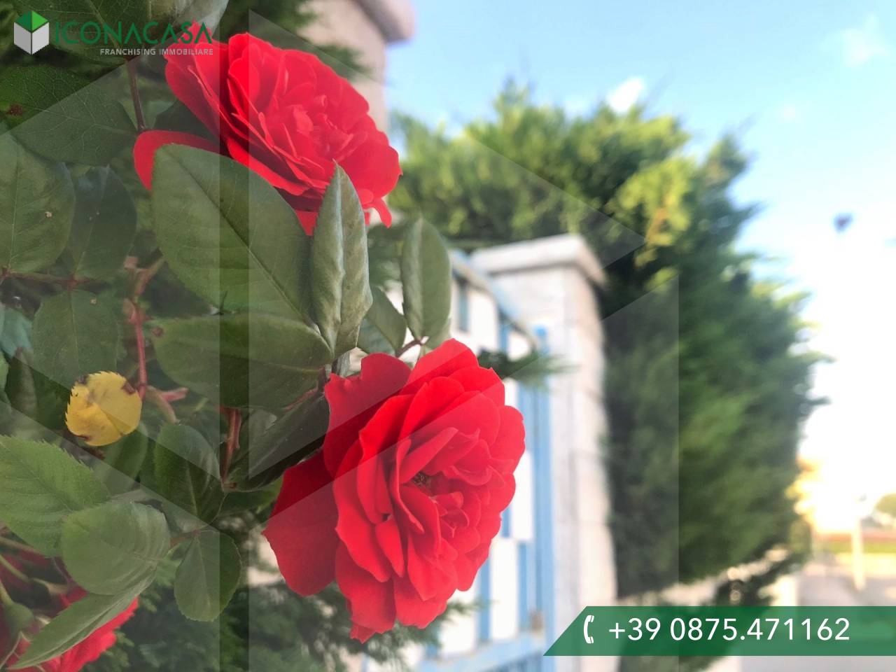 6 rooms Villa in Campomarino, Italy No. 22630