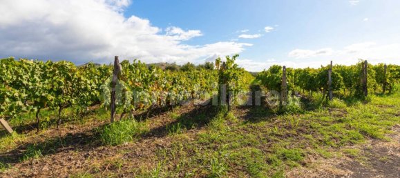 10 bedrooms House in Linguaglossa, Italy No. 163934 41