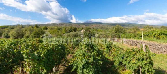 10 bedrooms House in Linguaglossa, Italy No. 163934 6