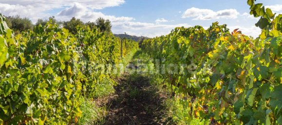 10 bedrooms House in Linguaglossa, Italy No. 163934 40