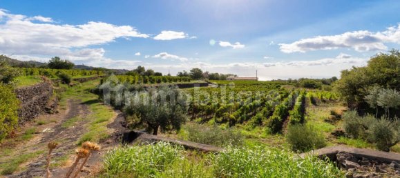 10 bedrooms House in Linguaglossa, Italy No. 163934 47