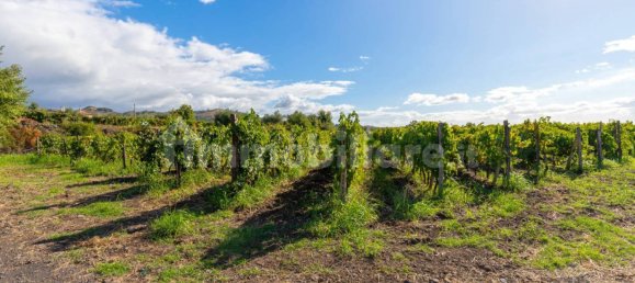 10 bedrooms House in Linguaglossa, Italy No. 163934 39