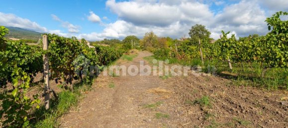 10 bedrooms House in Linguaglossa, Italy No. 163934 45