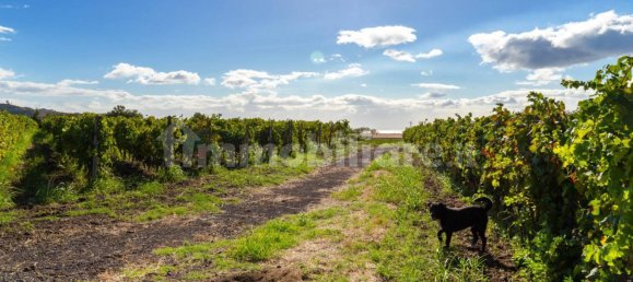 10 bedrooms House in Linguaglossa, Italy No. 163934 38